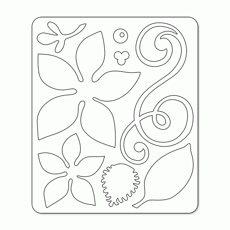 Picture Of A Poinsettia