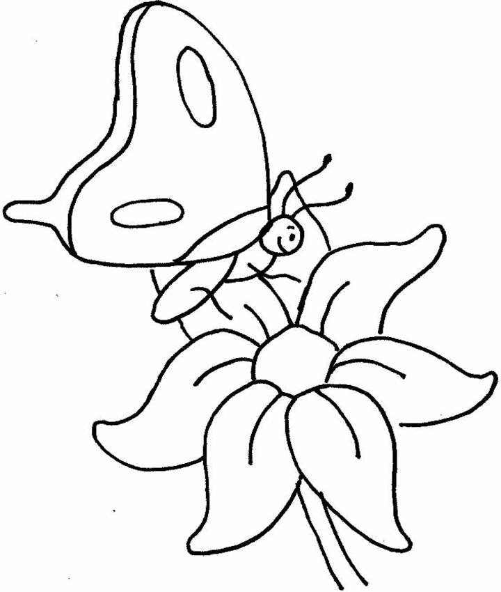 Butterfly Coloring Pages and Book | Unique Coloring Pages