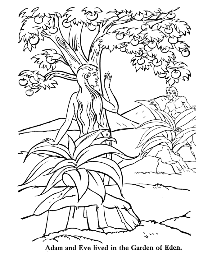 Books Of The Bible Activities Sheets