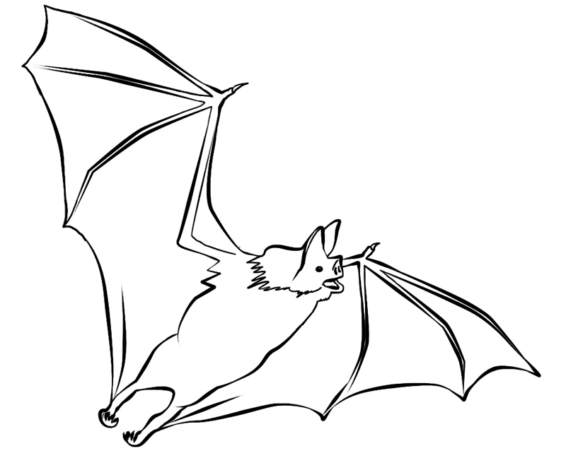Free Printable Bat 