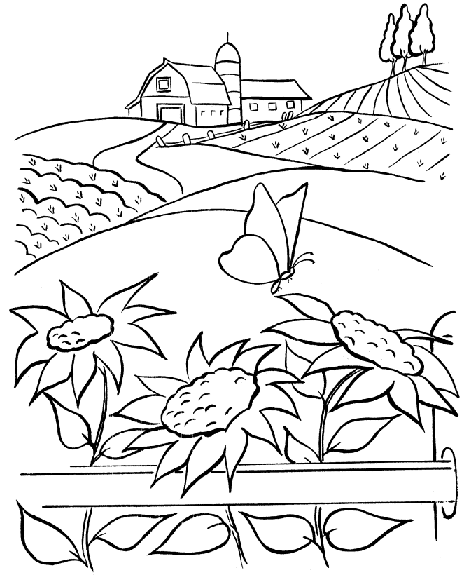Barn Pictures To Color