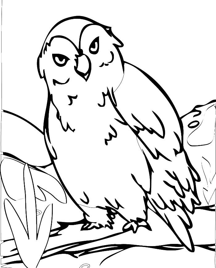 Turkey Feathers Coloring Pages