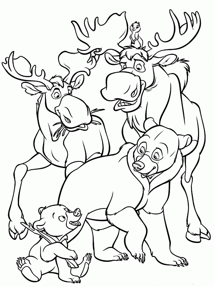Dibujos para colorear – Brother Bear, para niños