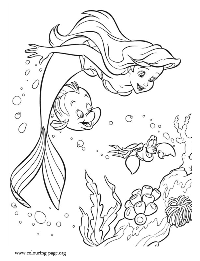 little mermaid flounder drawing - Clip Art Library
