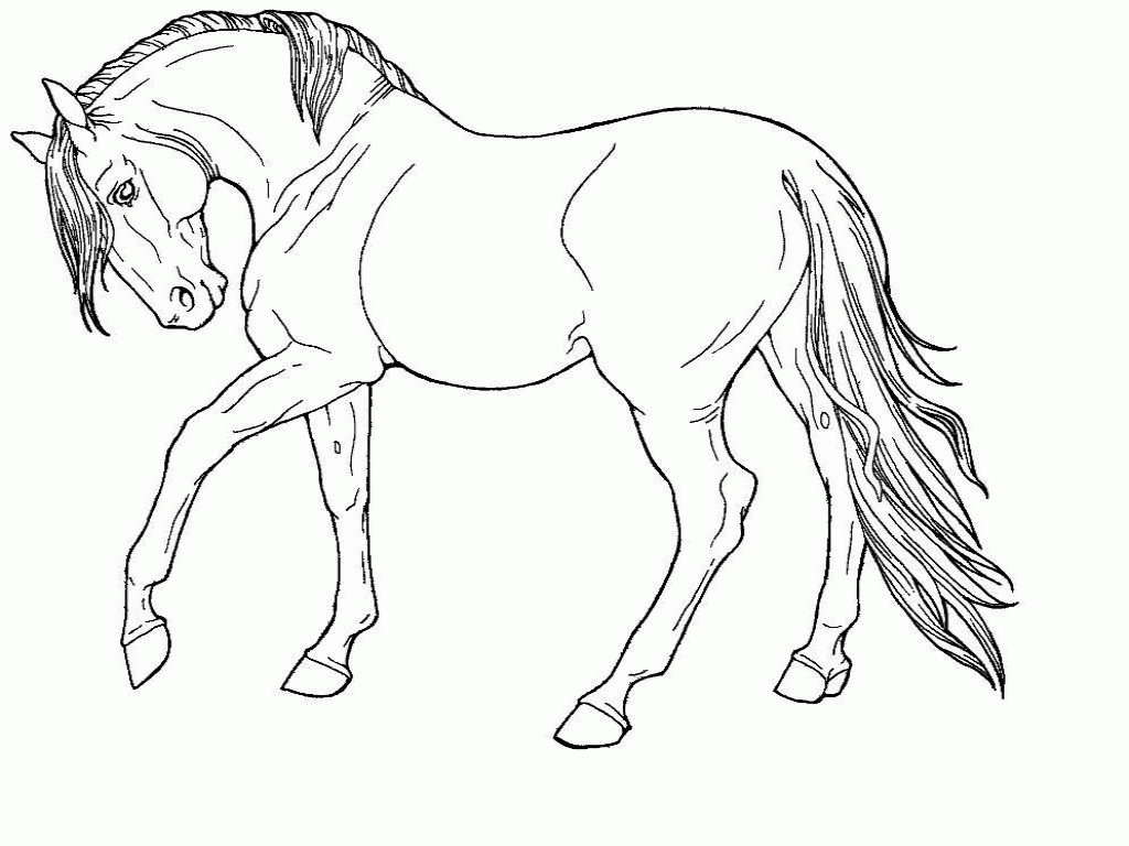 Free Free Printable Realistic Horse Coloring Pages, Download Free Free ...