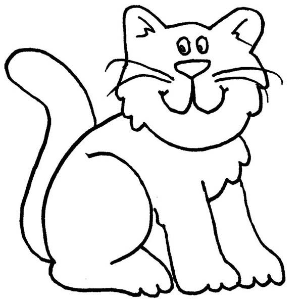 Funny Cat Pics For Kids