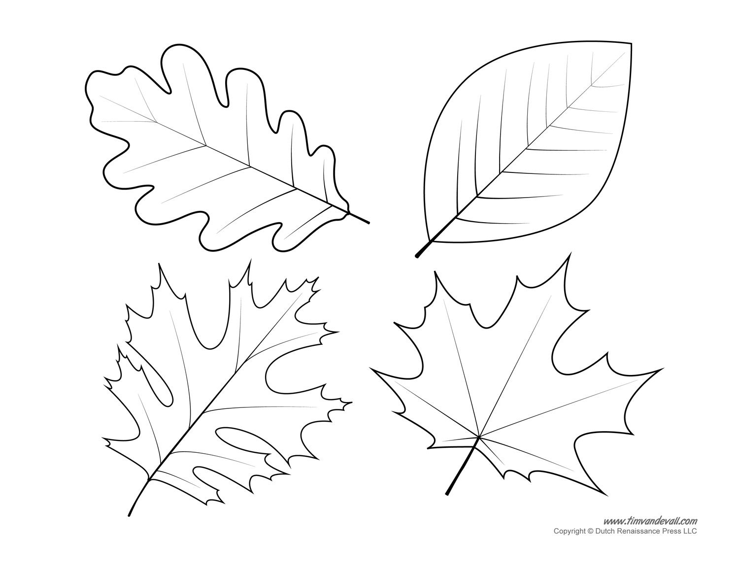 Printable Fall Leaves Cut Outs Clip Art Library