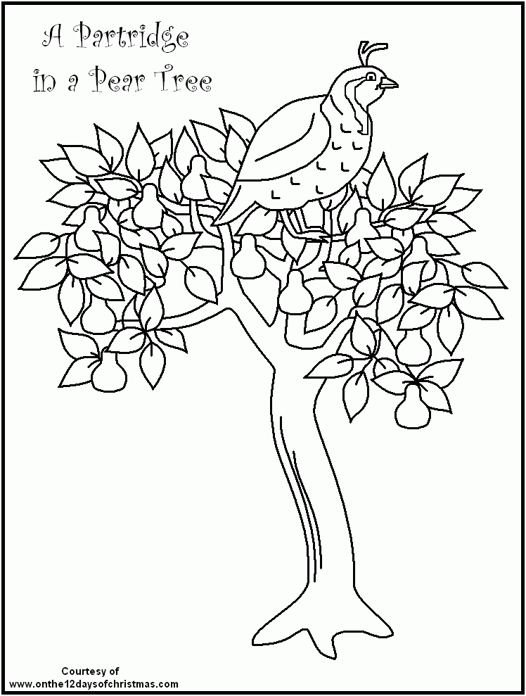 FREE 12 Days of Christmas Coloring Pages