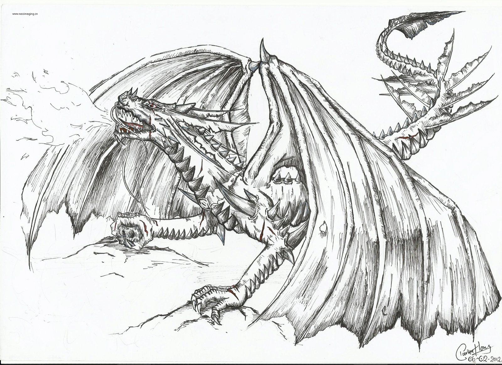 Free Fire Breathing Dragon Coloring Pages Download Free Fire Breathing