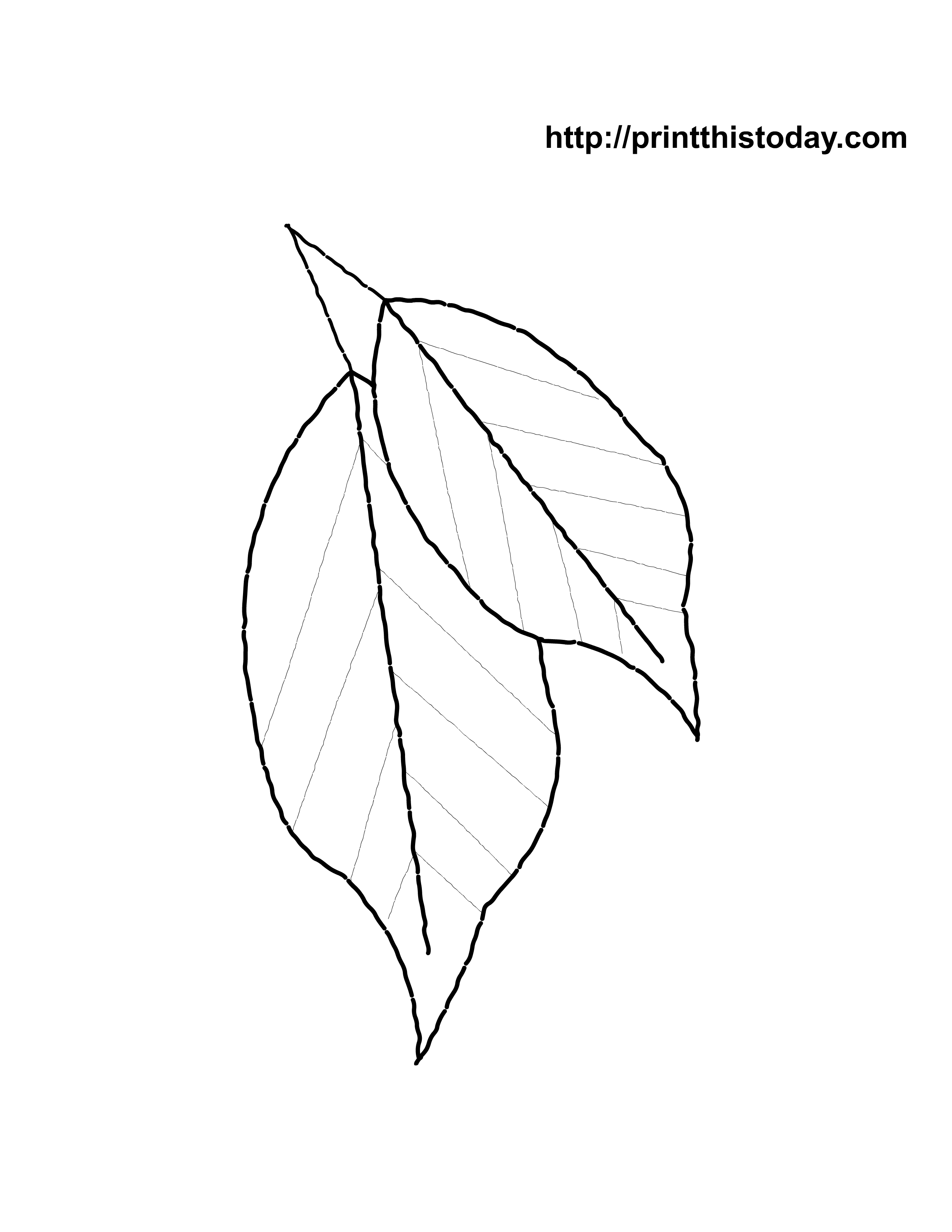Free Palm Branch Coloring Page, Download Free Palm Branch Coloring Page ...