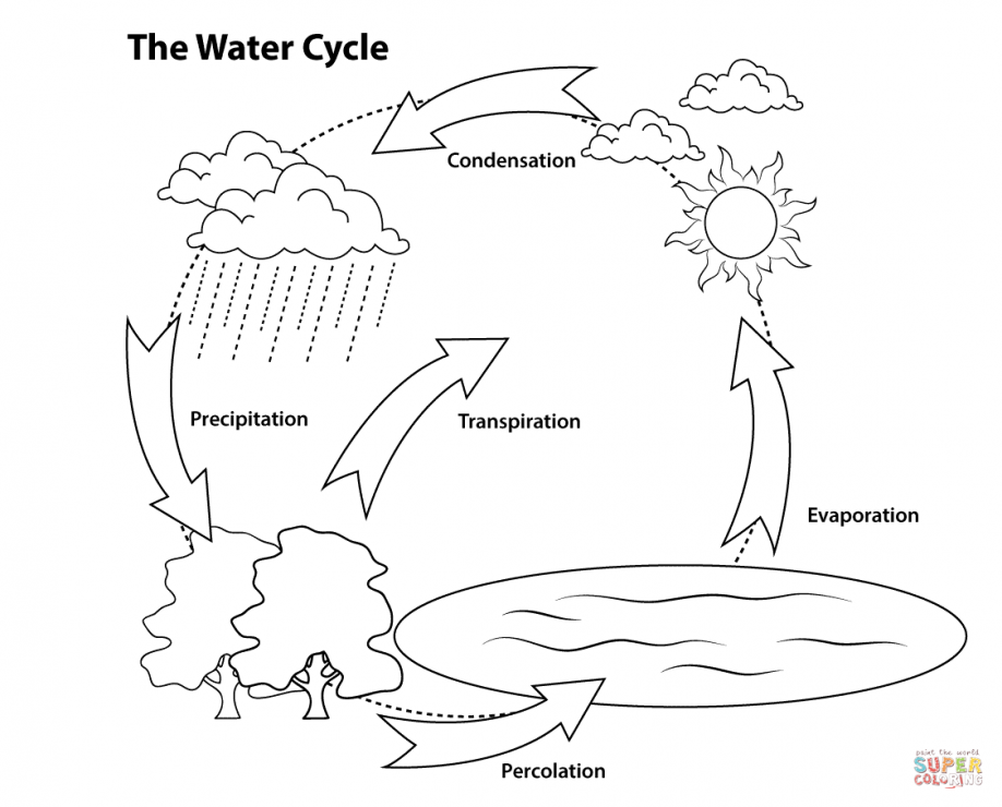 Drawing WATER CYCLE IN 2 minutes - YouTube-cacanhphuclong.com.vn