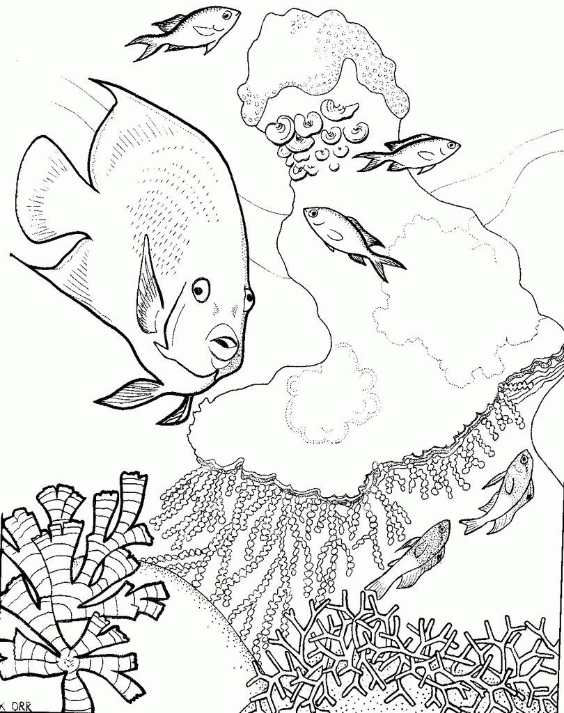 Free Great Barrier Reef Coloring Pages, Download Free Great Barrier ...