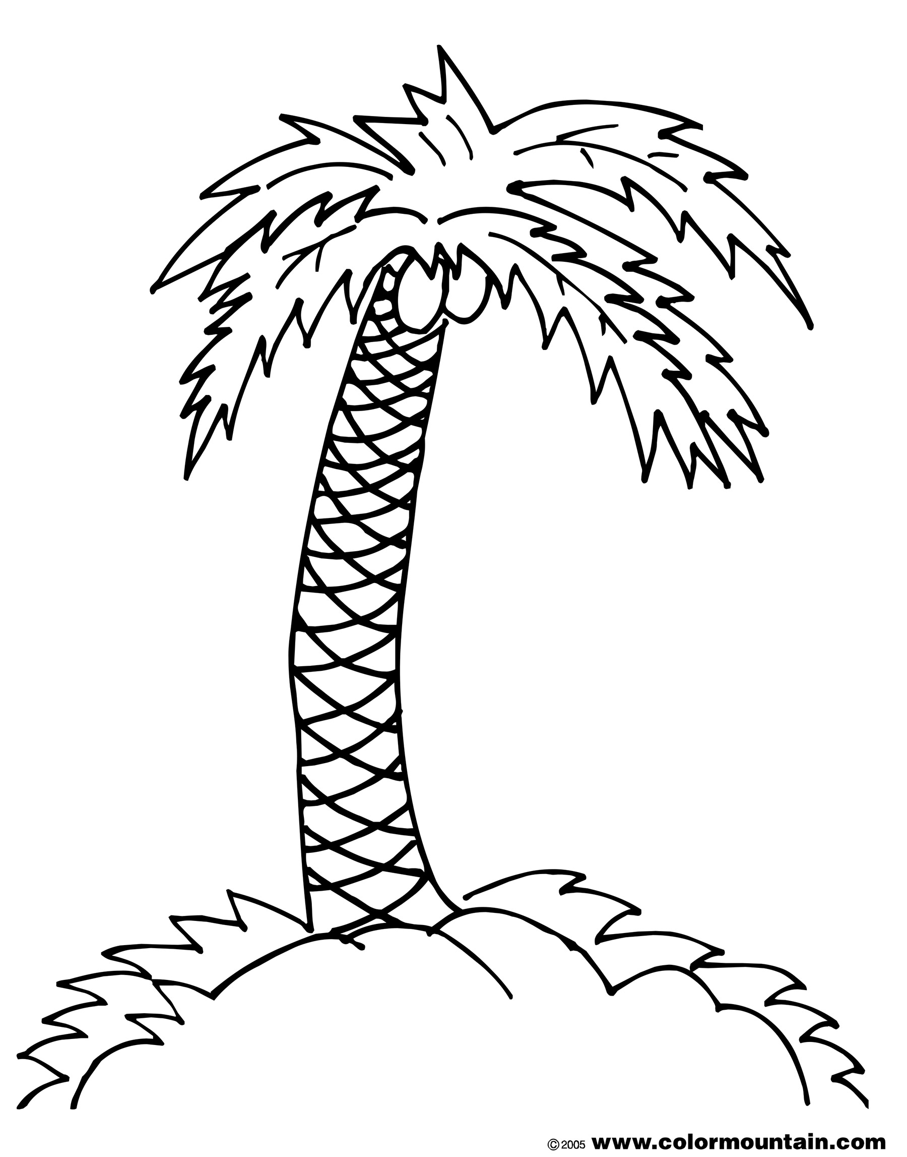 coconut tree coloring page