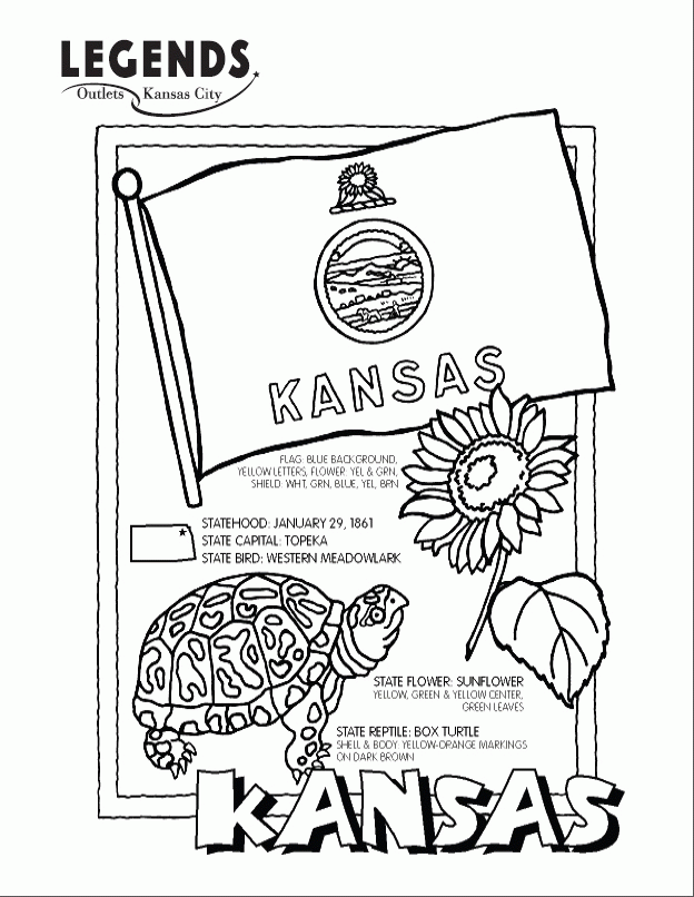 State | Coloring Pages for Kids and for Adults