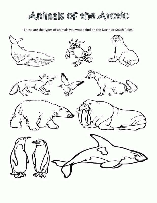 tundra coloring pages