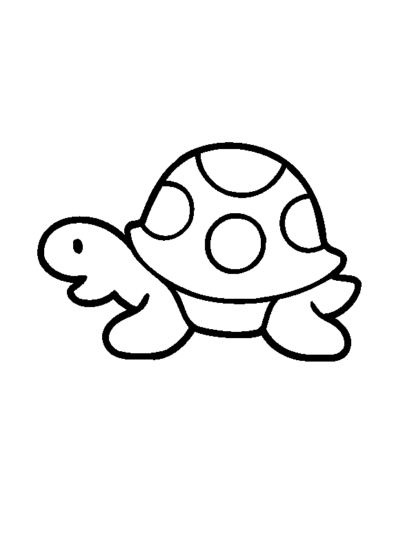 Turtle drawing and coloring Learning colors for kids #NurseryDrawingTv -  YouTube