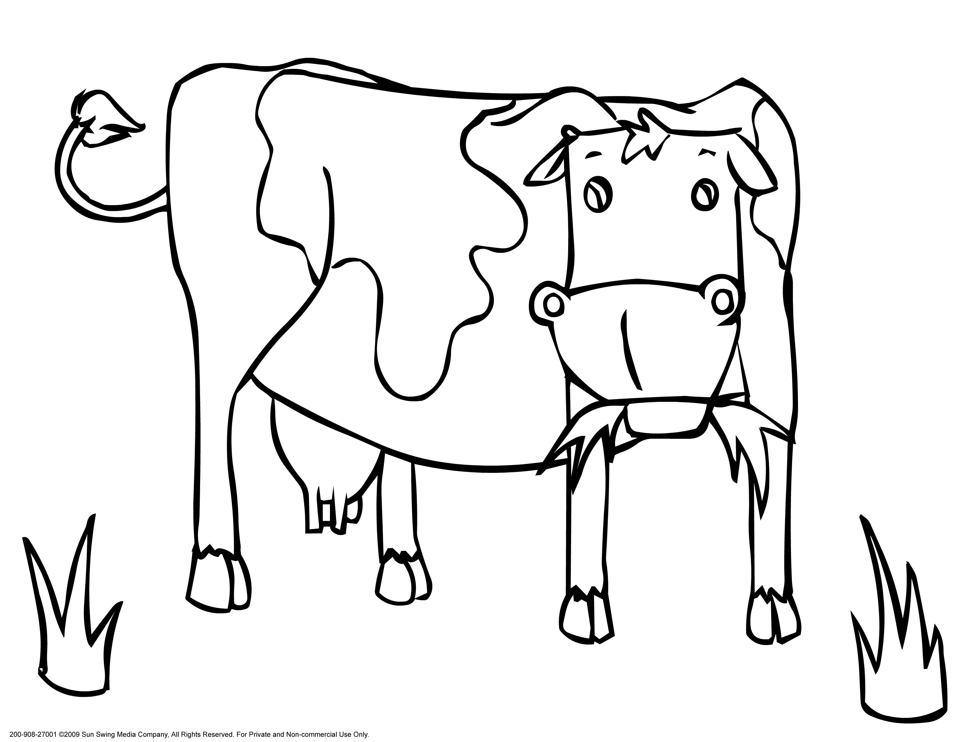 Как нарисовать оранжевую корову. Раскраска корова. Корова раскраска для детей. Рисунок коровы для срисовки. Корова картинка для детей раскраска.
