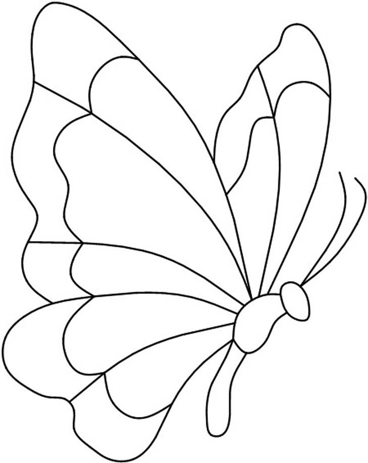 Learn How to Draw a Papilio Butterfly (Butterflies) Step by Step : Drawing  Tutorials