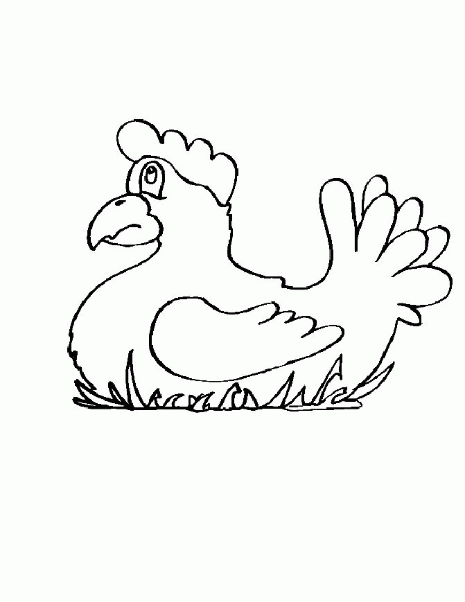 Animal Coloring Pages