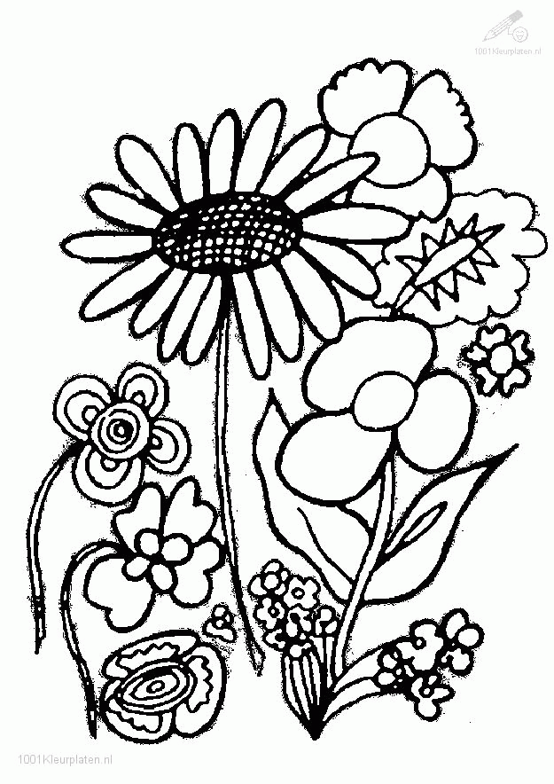faces mandala coloring pagehopoff for pages