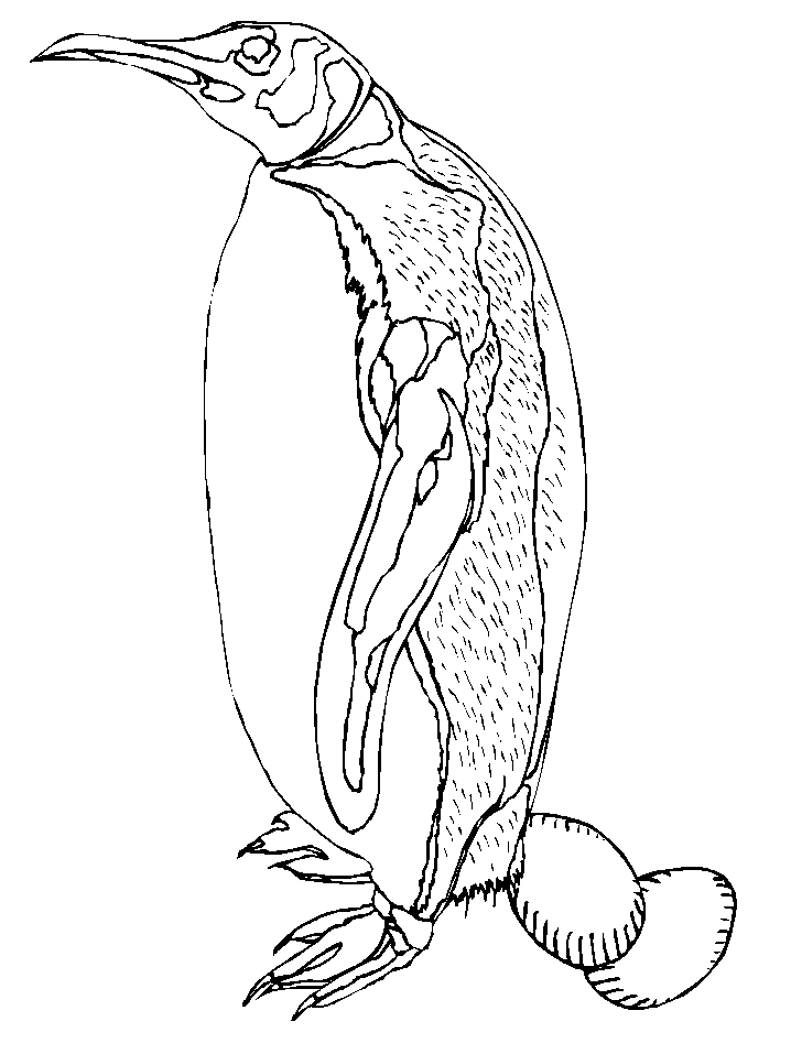 Coloring Page Idea 