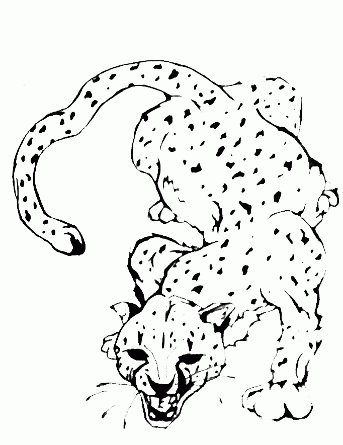 Cheetah Tattoo Designs