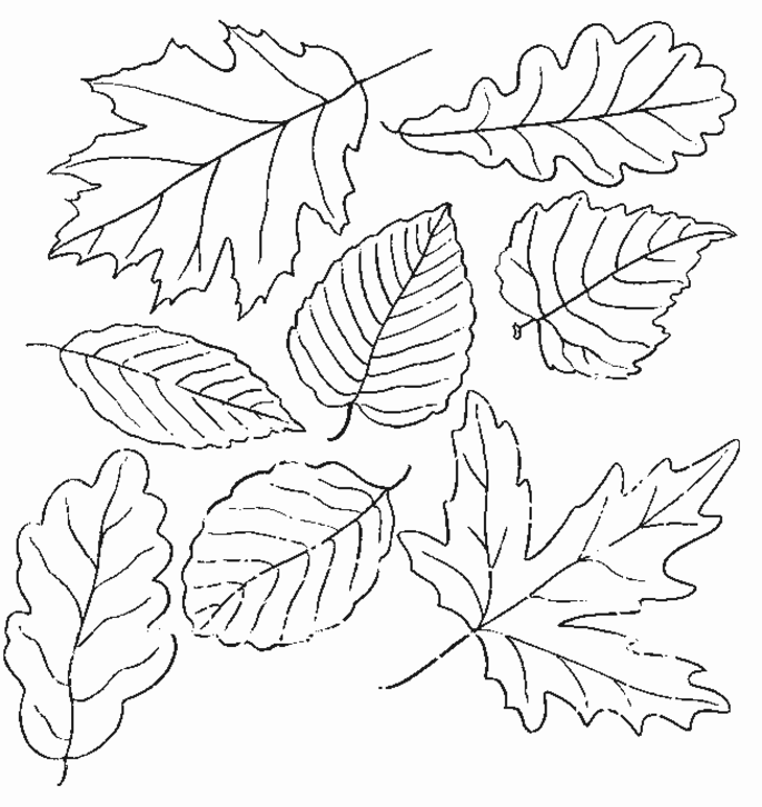 fall-coloring-pages-for