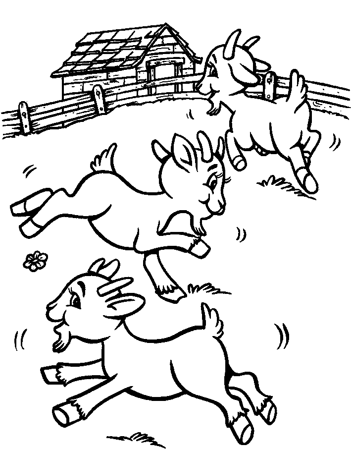 Goat Pictures To Color