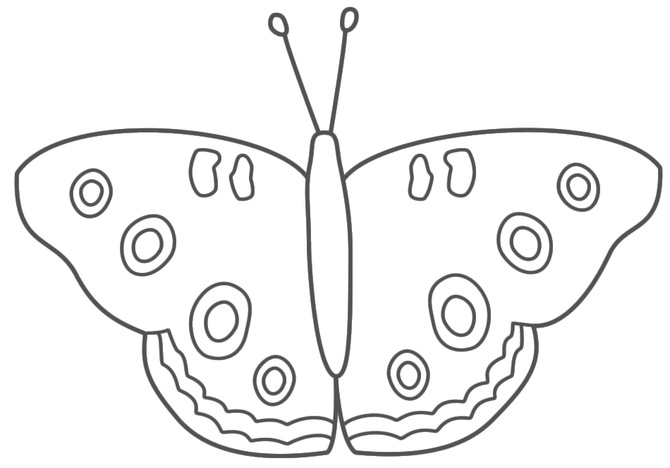 Free Butterfly To Color, Download Free Butterfly To Color png images ...