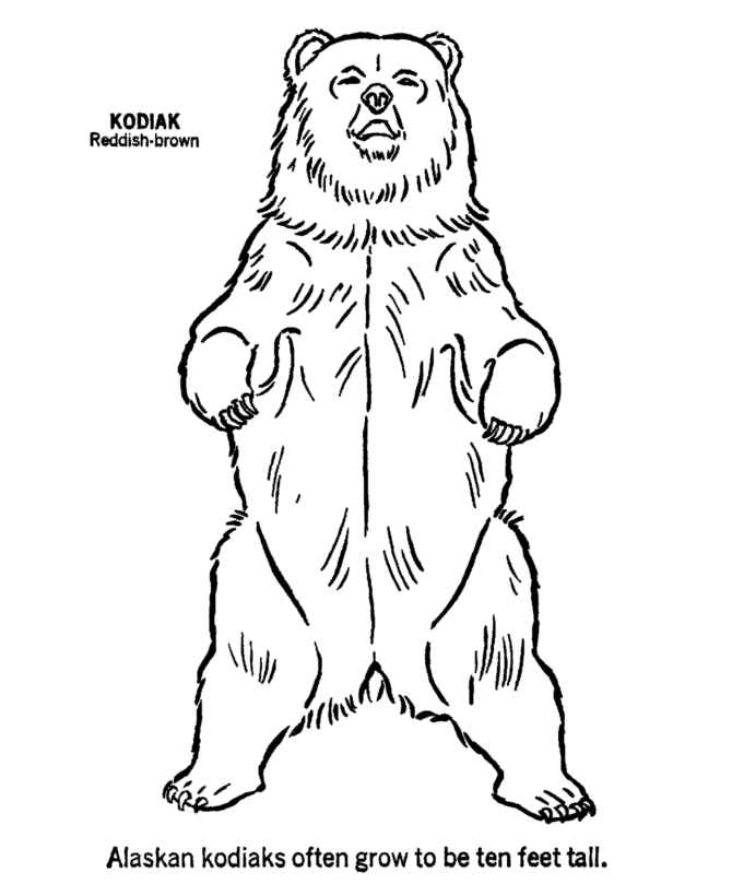 polar bear color pencil drawing | poyee_lam0321 | Flickr