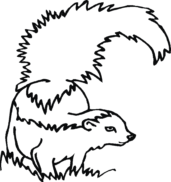 Woodland Animal Pictures