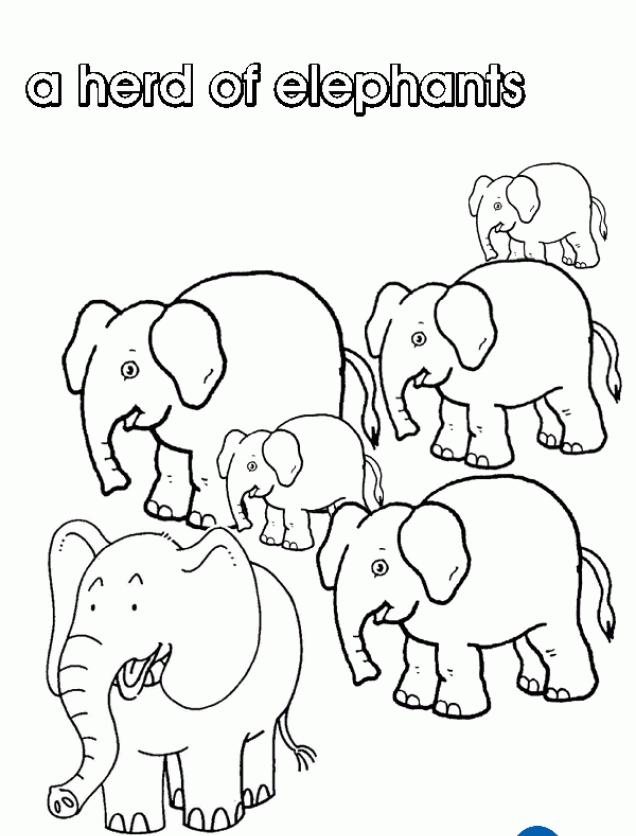 Найди слона на картинке. Стадо слонов. Стадо слонов раскраска. Раскраска стая слонов. Стадо слонов рисунок.