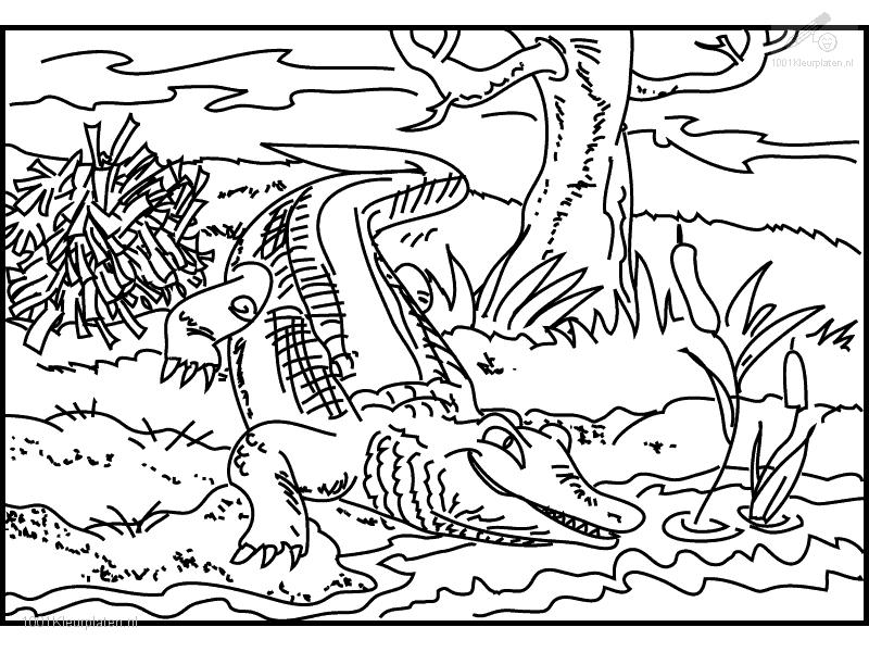 Crocodile Pictures To Color