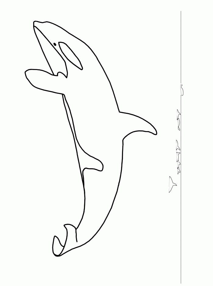 Orca Coloring Page Clip Art Library