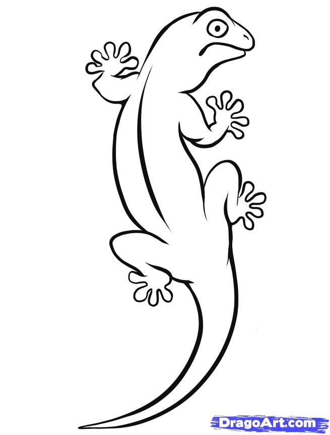 lizard drawing for kids