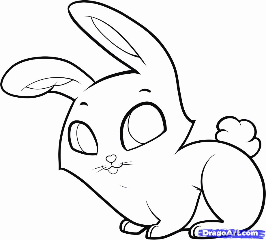 Cute Bunny Drawing Images  Drawing Skill