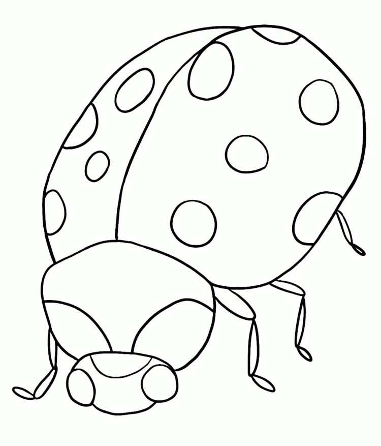 Cute Ladybug Coloring Pages