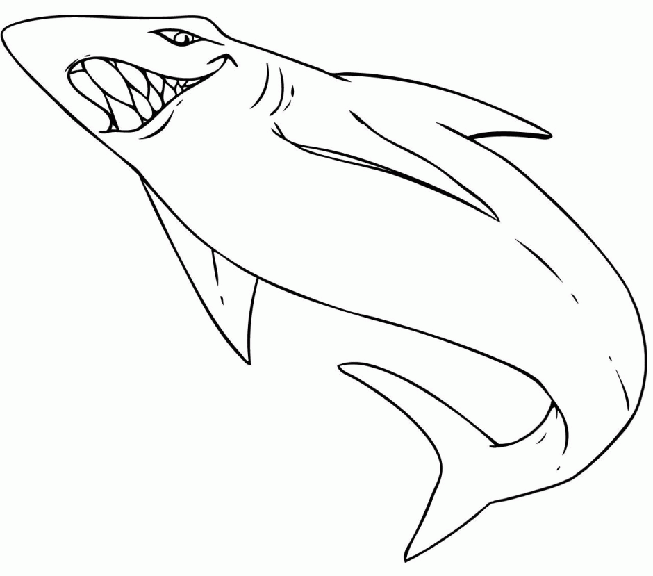 Tiger Shark Coloring Page - A Fun and Educational Activity for Kids