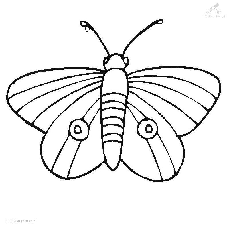 Onwijs butterfly maths Colouring Pages - Clip Art Library SO-03