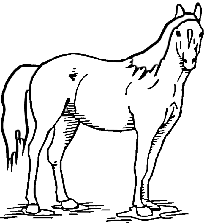 standing horse line drawing - Clip Art Library