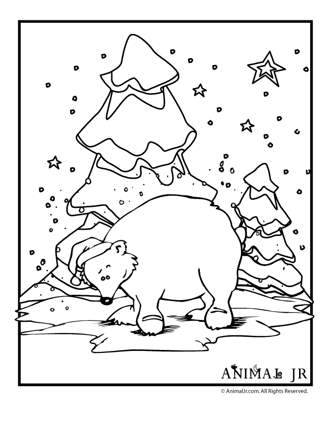 Bear Winter Coloring Pages | Coloring Pages For All Ages