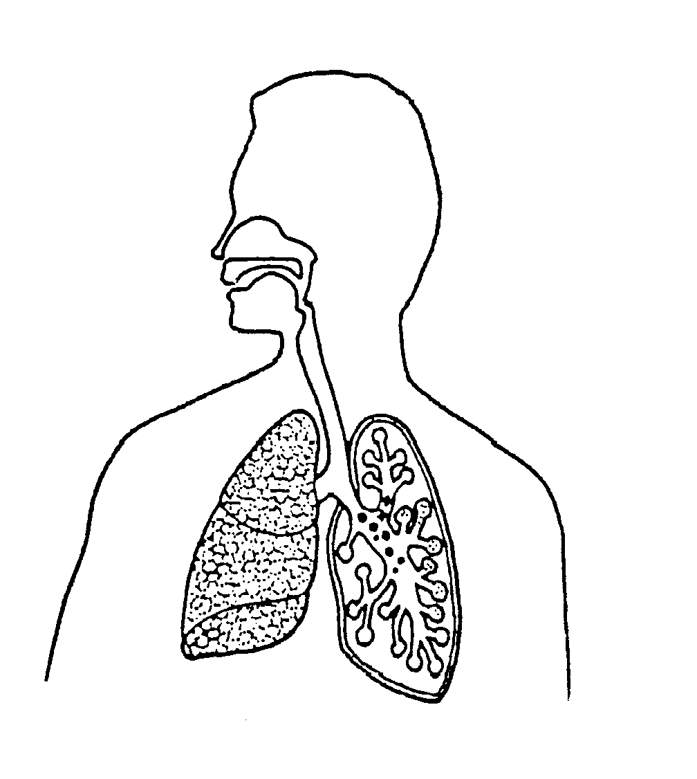 What Does Respiratory Illness Mean