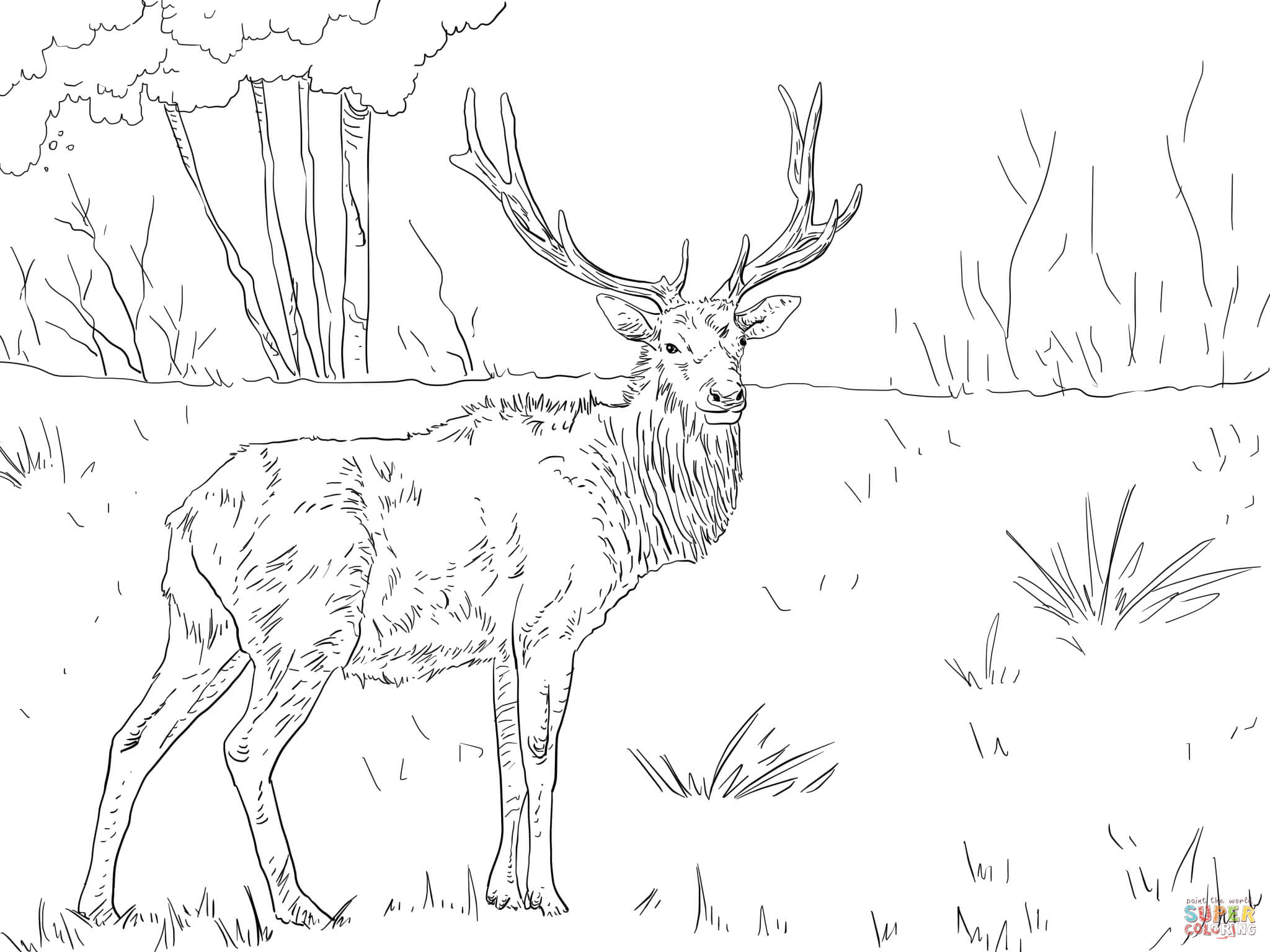 elk coloring - Clip Art Library