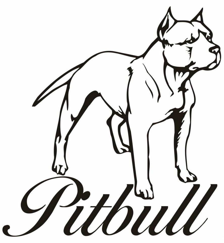 free-pitbull-dog-coloring-pages-download-free-pitbull-dog-coloring