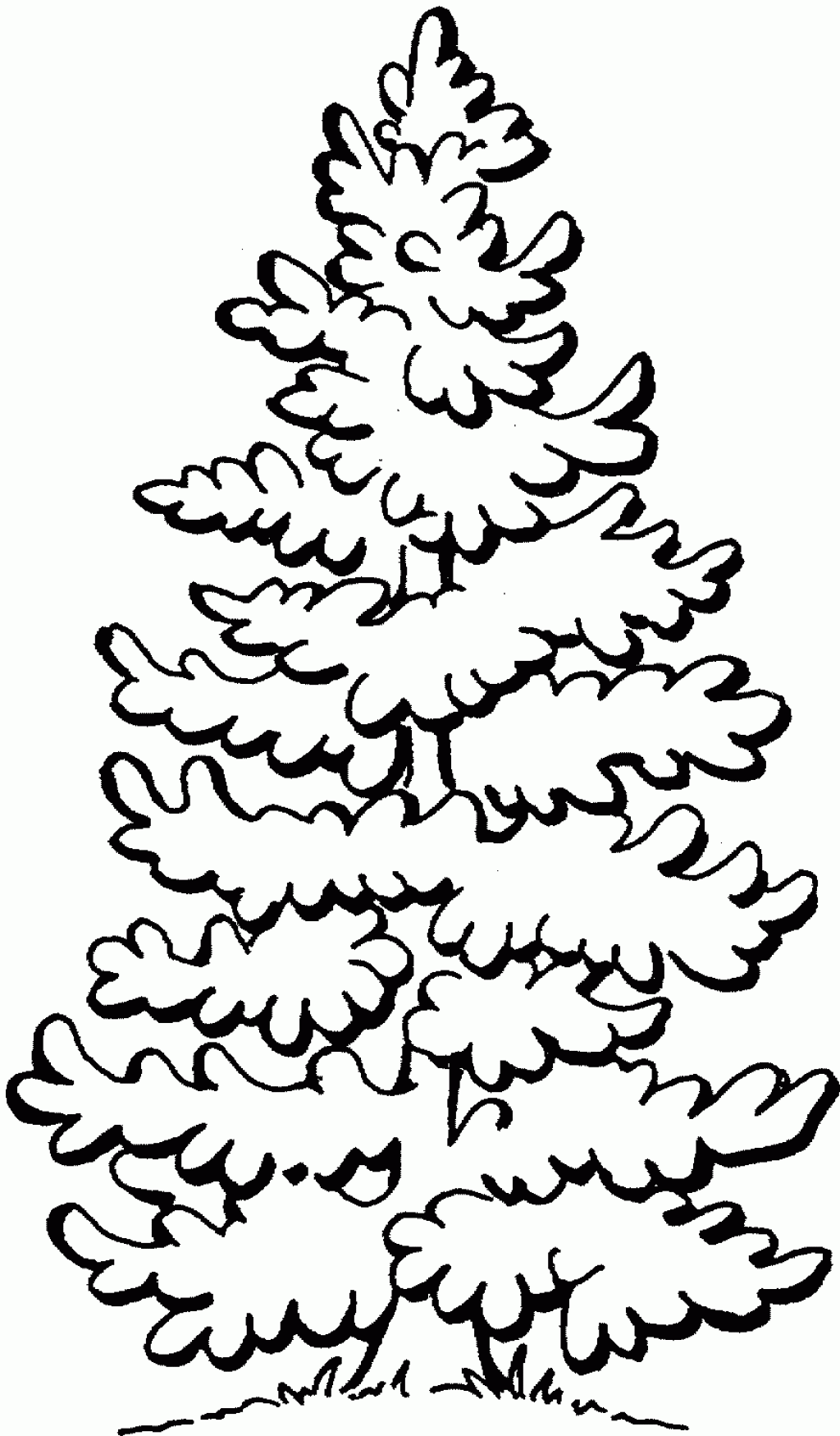 Free Evergreen Tree Outline, Download Free Clip Art, Free Clip Art on Clipart Library