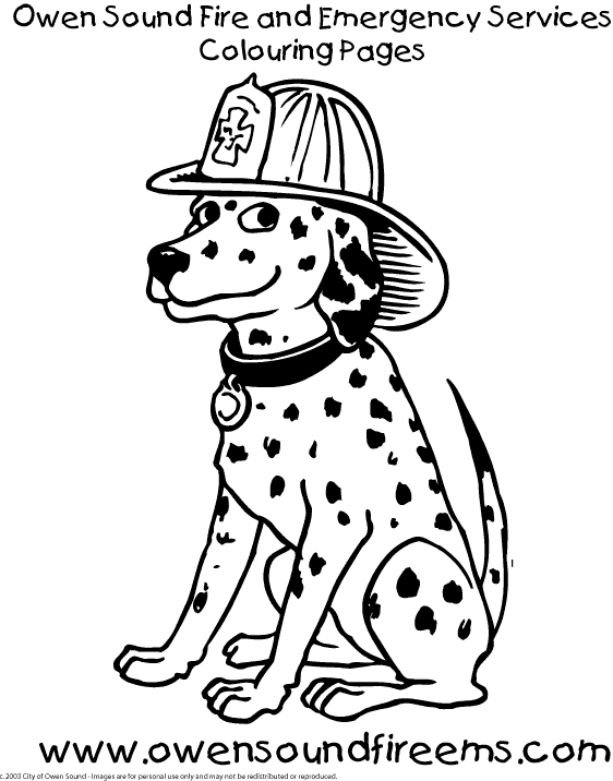 dalmatian fire dog coloring pages - Clip Art Library