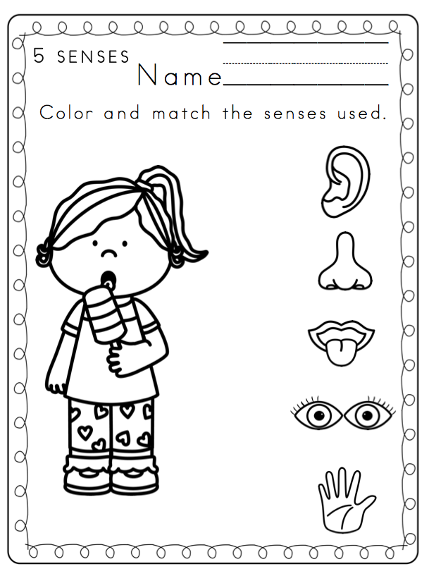 Free My Five Senses Coloring Pages Download Free My Five Senses 