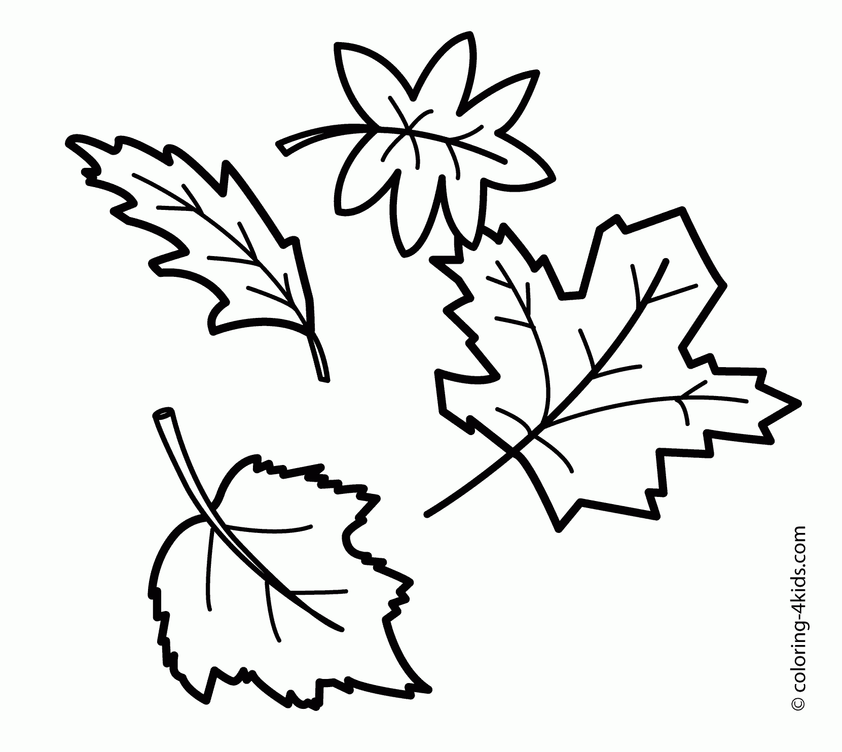 Drawing an autumn leaf - How to draw a leaf - YouTube