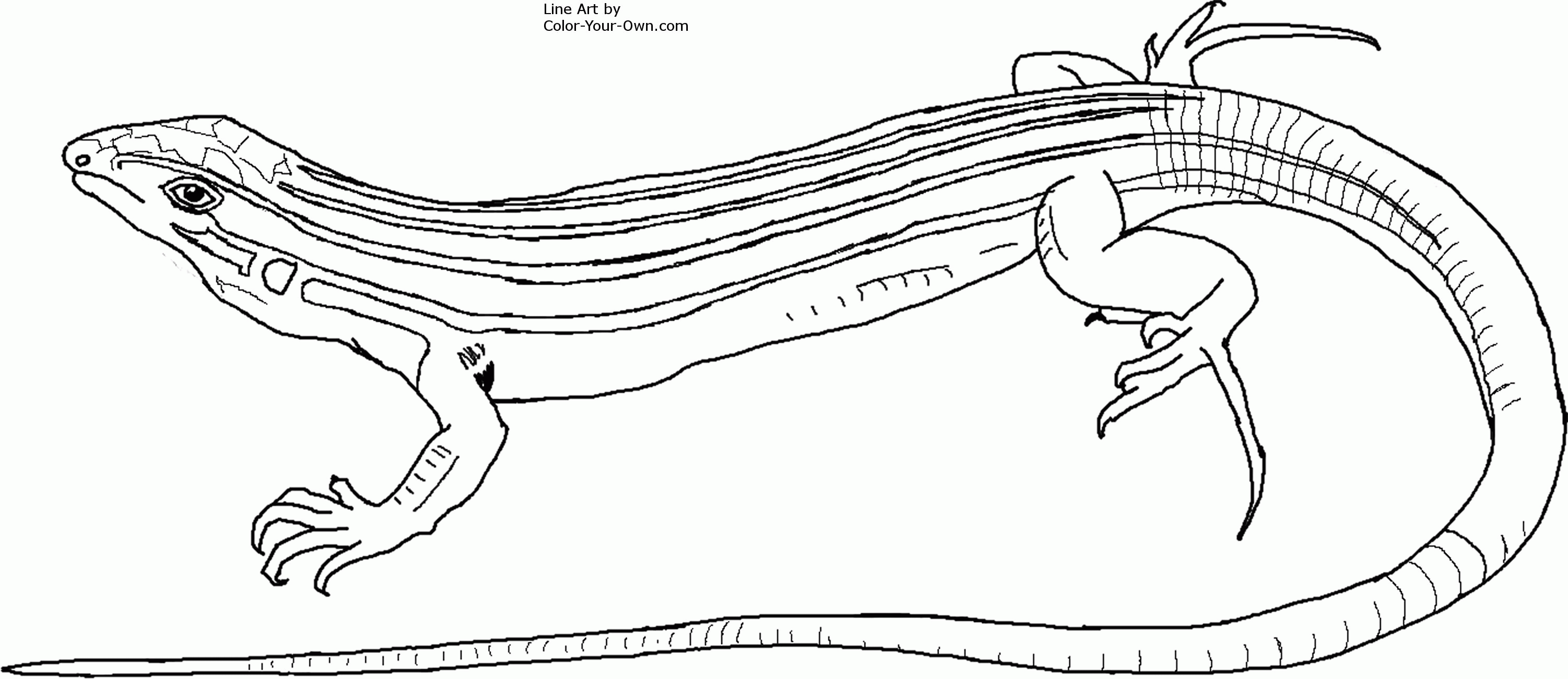 Dump Truck Coloring Page | Coloring Pages for Kids and for Adults