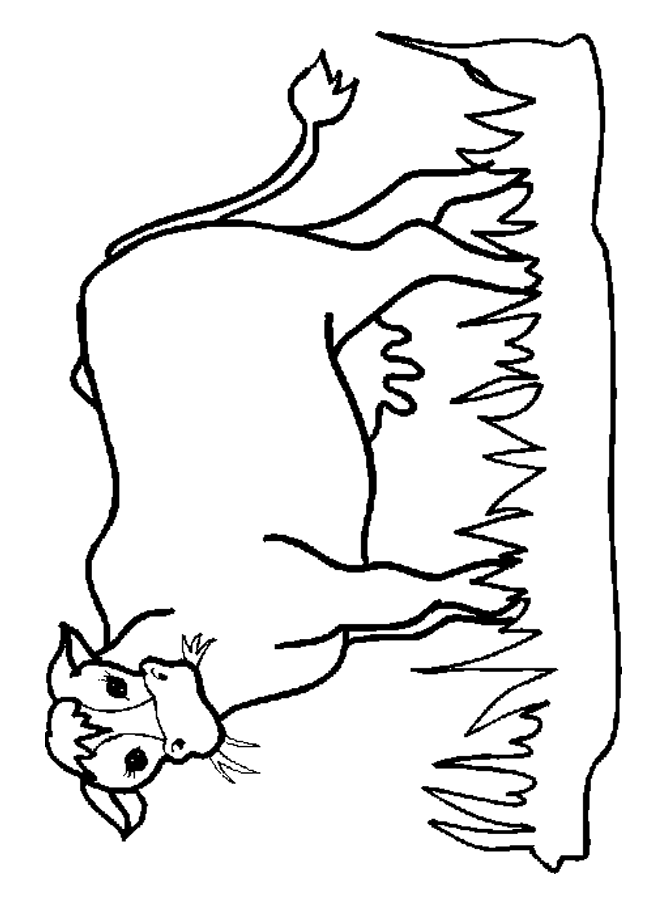 funny cow coloring pages - Clip Art Library